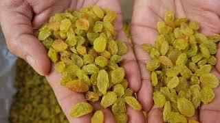 Premium Quality Golden-Green raisins(Kishmish) | Round size | NR Farm Product