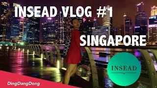 Life at INSEAD #1: Business Foundation Program | Travel, Singapore, Asian Food, Marina Bay