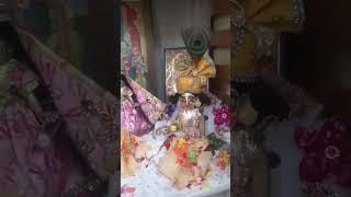 holi special laddu gopal and radha madhav darshan shorts#viral# reels # ytshorts# govindas diary