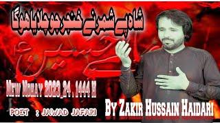 10th Muharram Ashura Noha Imam e Hussain  AS 2024| Zakir Hussain Haidari 10th Muharram Nohay 2024