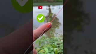 Strong Smooth Fishing Knot for Braid to Mono or Fluorocarbon Leader #fishing #fishingknot #tutorial