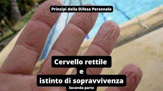 Principi della Difesa Personale - 4) Cervello rettile e istinto di sopravvivenza (seconda parte)