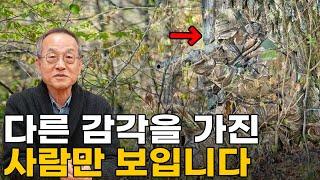 인간의 오감은 어떻게 진화했을까? / 최재천의 아마존, 전지적 관찰자 시점