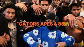 SSW…”GATORS APES & 8S” Deadly alliance at war wit da city | South Sac Iraq & North Sac alliances