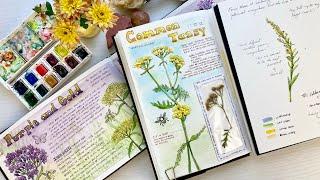 3 Ways to Journal in your Nature Diary