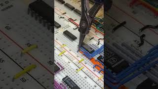 Masterful Breadboard Wiring – Satisfying Electronics Assembly! ️ #CircuitDesign