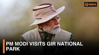 PM Modi visits Gir National Park & more updates | DD India live | 5 PM IST