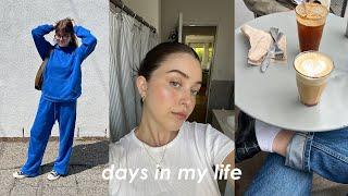 vlog: light makeup routine, baking carrot cake, and organizing