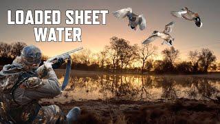 Duck Hunting an INSANE Sheet Water Hole | LIMITED OUT!