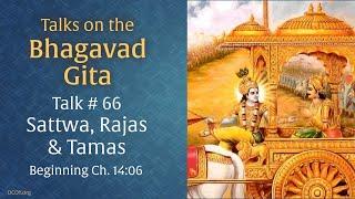 Sattwa, Rajas & Tamas • Talk 66 on the Bhagavad Gita by Swami Nirmalananda