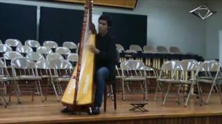 Harpist Male - Luzar 1 - Live  - Join Visual Arts -  Entertainment Agency