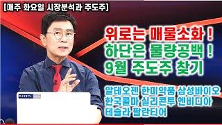 [김종철 원포인트레슨] 위로는 매물소화 ! 하단은 물량공백 ! 9월주도주 찾기