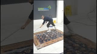 Oriental Rug Cleaning Part 2 | Short