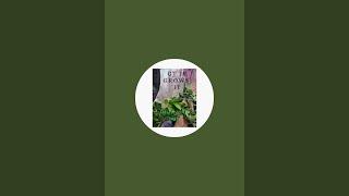 GtJr Grows It  Alaska is live!