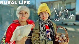 Routine Rural Life in a Village in IRAN: Cooking Chicken and Potato Under Charcoal in rural Life