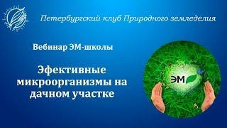 Вебинар "Эффективные микроорганизмы на дачном участке"