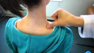 Dr. Tina Hou - Acupuncture Lesson 6