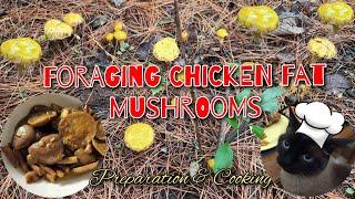 Foraging Chicken Fat Mushroom on the woods | Chicken Fat Mushroom preparation and cooking 