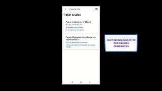 APP Agencia Tributaria: Pagar deudas