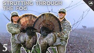 HARD GOBBLING EASTERNS in the FOG | TURKEY HUNT OFF THE ROOST