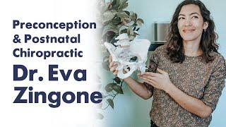 Preconception & Postnatal Chiropractic with Dr. Eva Zingone