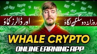 How to Work on Whale Crypto | Best online earning app 2024 | #onlineearning #whalecrypto