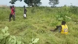 Upcoming Plots of Land for Sale at Jiboroh in The Gambia