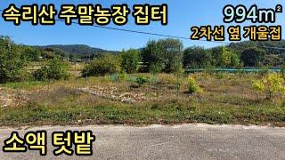 (매물번호12483) 보은부동산 994㎡(301) 보은땅 보은토지매매매물 청주부동산 청주토지 시골땅 촌땅 소액땅 농막 주말농장 전원주택지 집터 대전부동산 대전토지 4900만원