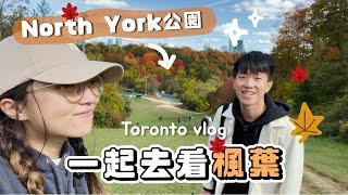 【週末VLOG】一起去North York的公園看楓葉 適合無車人士～多倫多生活 | franfran