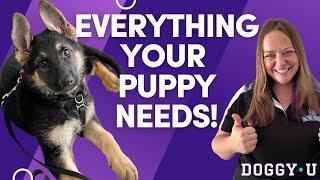 PUPPY ESSENTIALS: Everything You Need For Your New Puppy!