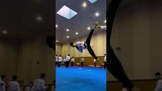 Martial Arts Mix- Short