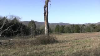 Nolensville, TN Land For Sale