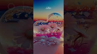 Al.Quran #viral #foryou #lovequran #quran #loveallah #lovemuhammadﷺ #1m  #holyquran #quranrecitation