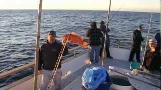 Reel Anglers Fishing Show - Pacific Islander to Santa Rosa