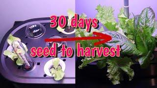 LetPot Hydroponic Growing System