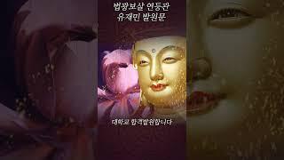 법광보살 연등관 유재민 대학 합격 발원