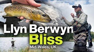 Dry fly action on stunning Llyn Berwyn – Mid-Wales, UK