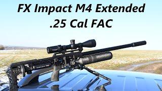 FX Impact M4 Extended .25 Cal FAC, FULL REVIEW, Hunting or Target?