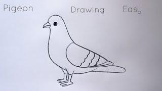 how to draw pigeon drawing easy step by step@aaravdrawingcreative1112