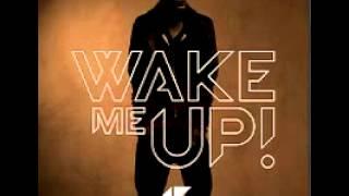 avicii wake me up (radio edit)