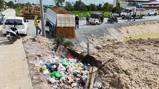 Wow !! Amazing Bulldozer D53p Clear Land Trash And Mud Next to the road & 5-TON Truck Loading Land