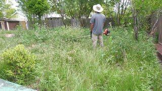 BEAUTIFUL GARDEN was HIDING UNDER OVERGROWN YARD, NATURE TRIED CLAIMING this yard