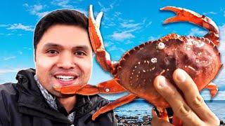 CRABBING from SHORE! (Catch & Cook)