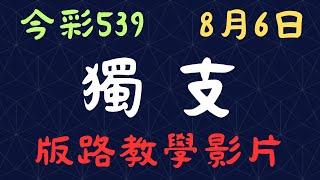 今彩539｜獨支｜少年狼539｜8月6日｜版路教學影片