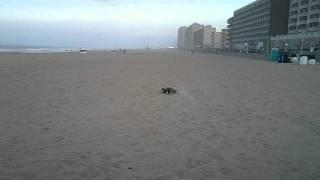 Traxxas Slash 4x4 2s lipo on the beach with paddle tires