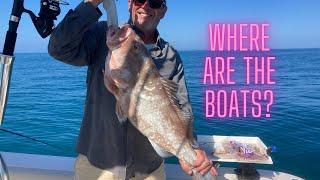 We Had the Gulf of Mexico All to Ourselves - Giant Red Grouper!!!!