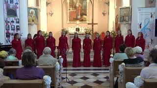 2017.08.08 Санкт Петербург, Римско католическая церковь св. Станислава, Сольный концерт Ласточек