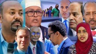 WARKA: DDS & SL Oo Ka Hadlay Kulankii Jigjiga, Itoobiya Oo Xukuntay Xubno AS, Somaliya Oo Lala Yabay