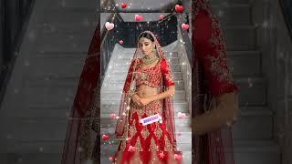 Indian wedding wear lehenga by vibhus Collection #shorts #youtubeshorts #viralvideo #viral #fashion