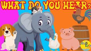 What Do You Hear? | Animal Song | SooLoo Kids